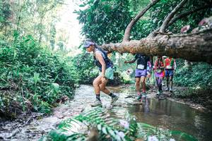 BIB: 
                            <button type="button" onclick="openModal(25446477)" class="btn btn-primary btn-sm float-right btn-popup" data-toggle="modal" data-target=".modal-high-quality">
                        <i class="fas fa-shopping-cart"></i> Add to Cart
                    </button>
                                            <button type="button" onclick="isThisMe(25446477, true)" class="btn btn-success btn-sm float-right btn-popup btn-isme hidden" data-toggle="tooltip" data-placement="bottom" title="นี่คือรูปของคุณใช่ไหม คลิกที่นี่เพื่อเอาเข้าอัลบั้ม">
                        <i class="fas fa-plus"></i> Add to album
                    </button>
                    <button type="button" onclick="isThisMe(25446477, false)" class="btn btn-warning btn-sm float-right btn-popup btn-isnotme hidden">
                        <i class="fas fa-ban"></i> Remove from album
                    </button>